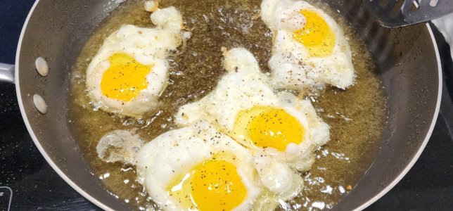 Screenshot_20251207_180600_Gallery.jpg Screenshot_20251207_180600_Gallery.jpg