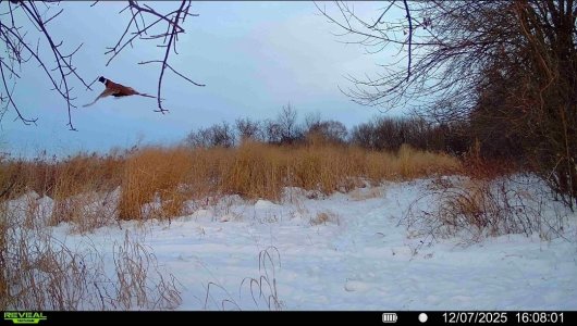 Screenshot_20251207_161222_Reveal.jpg Screenshot_20251207_161222_Reveal.jpg