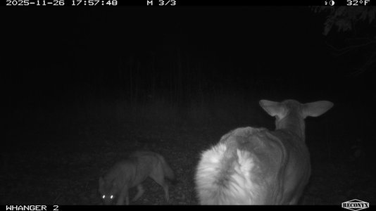 1765162750421.jpeg 1765162750421.jpeg