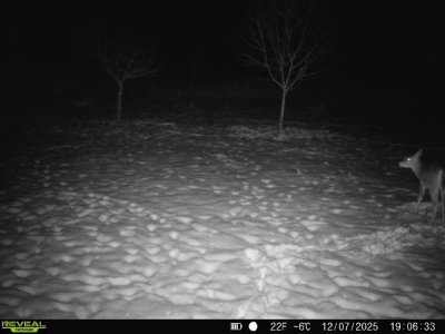 868032066803291-60-4-12072025190634-W1014628.JPG 868032066803291-60-4-12072025190634-W1014628.JPG