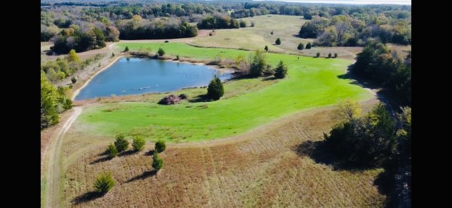 IMG_2979.jpeg IMG_2979.jpeg