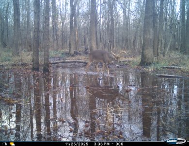 big7water.jpeg big7water.jpeg