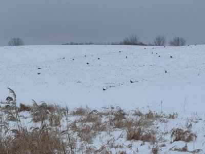 IMG_6927.JPEG IMG_6927.JPEG