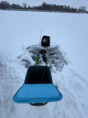 IMG_6921.JPEG IMG_6921.JPEG