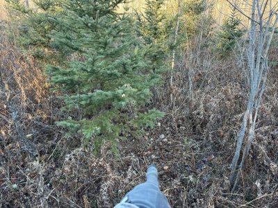 IMG_6798.JPEG IMG_6798.JPEG