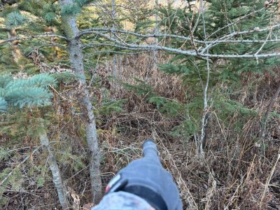 IMG_6800.JPEG IMG_6800.JPEG