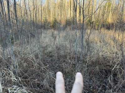 IMG_6802.JPEG IMG_6802.JPEG