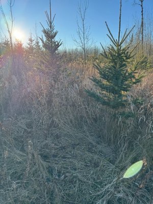 IMG_6816.JPEG IMG_6816.JPEG