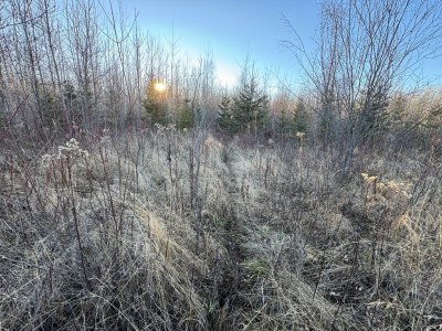 IMG_6828.JPEG IMG_6828.JPEG