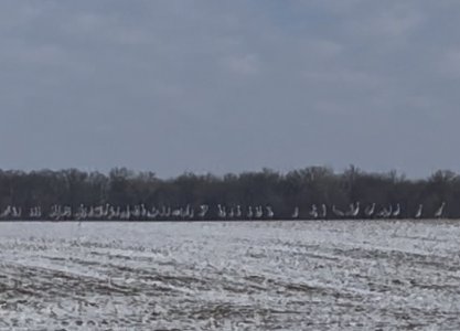 IMG_0170.jpeg IMG_0170.jpeg