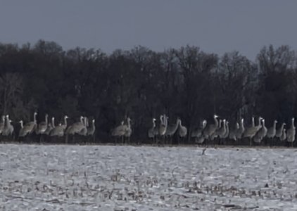 IMG_0168.jpeg IMG_0168.jpeg