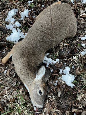 IMG_1131.jpeg IMG_1131.jpeg