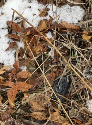 IMG_0180.jpeg IMG_0180.jpeg