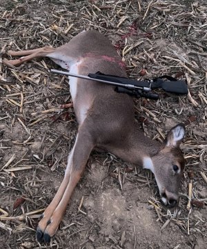 IMG_0182.jpeg IMG_0182.jpeg