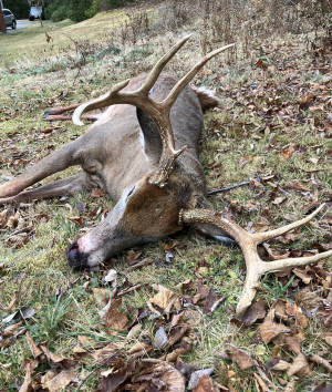 Screenshot 2025-11-25 at 8.16.00 AM.png Screenshot 2025-11-25 at 8.16.00 AM.png