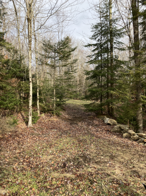 Screenshot 2025-12-12 at 9.00.32 AM.png Screenshot 2025-12-12 at 9.00.32 AM.png