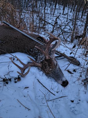 IMG_20251213_170759874_HDR.jpg IMG_20251213_170759874_HDR.jpg