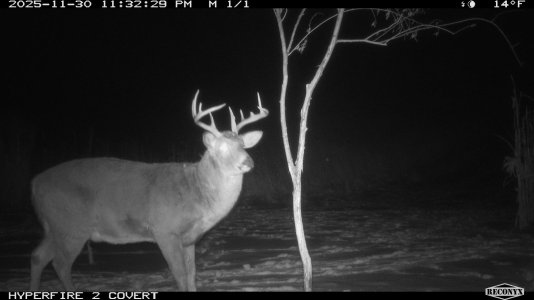 RCNX1322.JPG RCNX1322.JPG