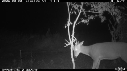 RCNX0015.JPG RCNX0015.JPG