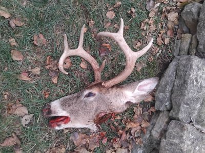 IMG_20251211_222002.jpg IMG_20251211_222002.jpg