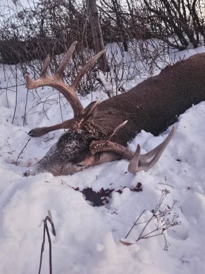 20251213_165224.jpg 20251213_165224.jpg