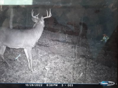 Screenshot_20251214_213425_Gallery.jpg Screenshot_20251214_213425_Gallery.jpg