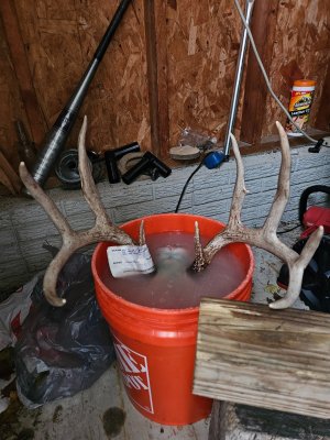 20251124_130617.jpg 20251124_130617.jpg