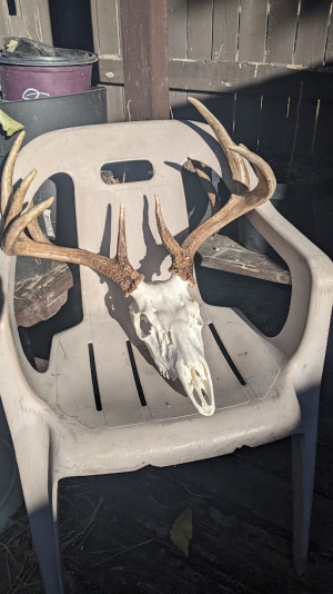 1765989172668.png 1765989172668.png