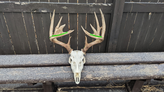 1765989194307.png 1765989194307.png