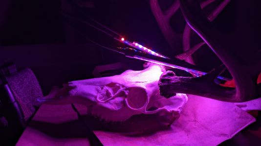 1765989964705.png 1765989964705.png