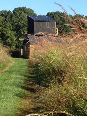 conove blind - with grass.jpg