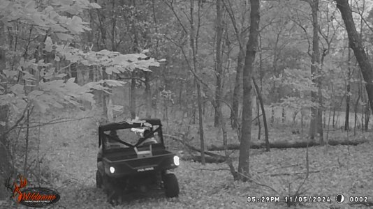 WGI_0002.jpeg WGI_0002.jpeg