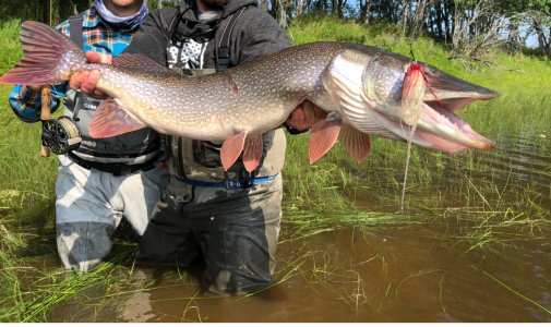 IMG_9749.jpeg IMG_9749.jpeg