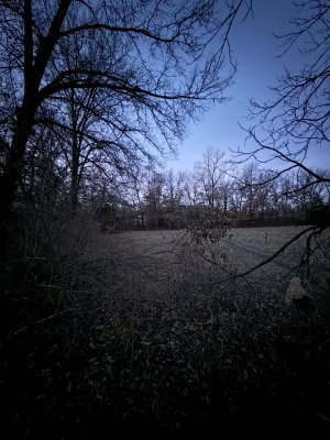 IMG_8402.jpeg IMG_8402.jpeg