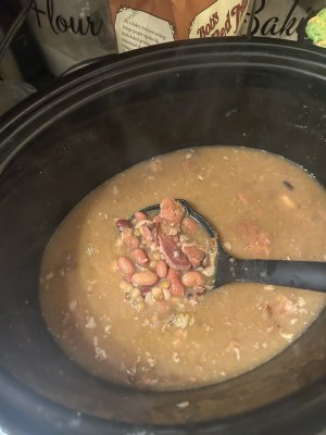 IMG_3152.jpeg IMG_3152.jpeg