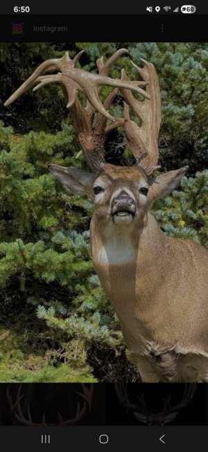 Screenshot_20251225_185056_Samsung Internet.jpg