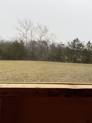 IMG_8425.jpeg IMG_8425.jpeg