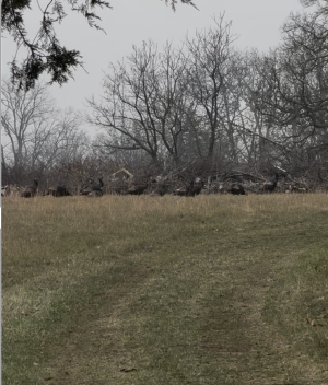 1767412406754.png 1767412406754.png