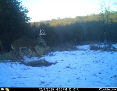 IMG_1964598542 (1).jpg