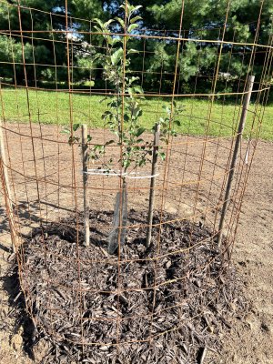 IMG_3672.jpeg IMG_3672.jpeg