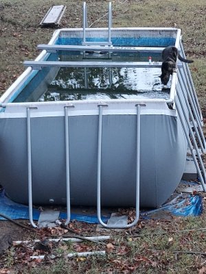 6.5'x13.5'x4'pool.jpg