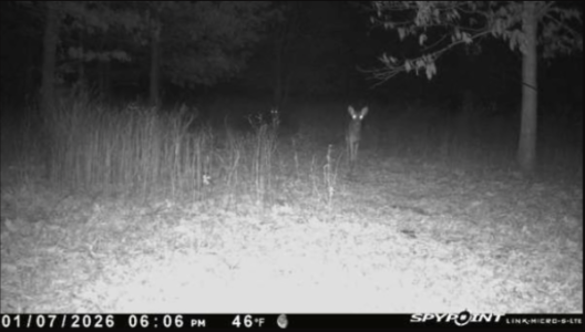 Screenshot 2026-01-08 at 1.06.25 PM.png