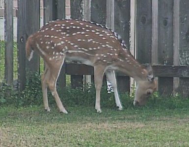 Screenshot 2026-01-08 161231.jpg