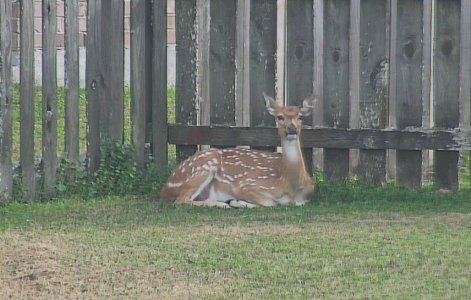 Screenshot 2026-01-08 161211.jpg