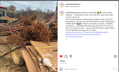 Screenshot (777).png