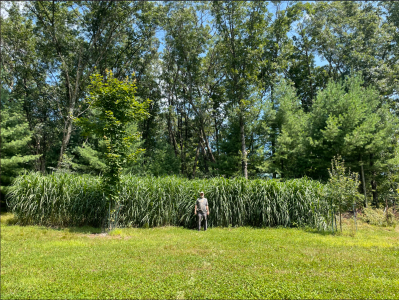 Screenshot 2026-01-14 172757.png