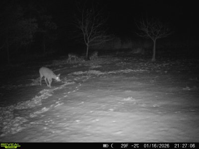 868032066803291-60-3-01172026083314-HD-SYFW4886.JPG 868032066803291-60-3-01172026083314-HD-SYFW4886.JPG