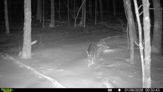 016578002414131-100-2-01062026003243-V-SYFW00473.jpg 016578002414131-100-2-01062026003243-V-SYFW00473.jpg