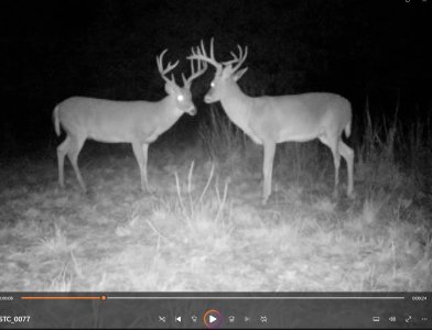 Screenshot 2026-01-20 133744.jpg