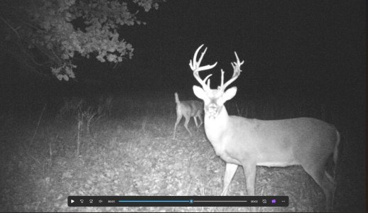 Screenshot 2026-01-20 134606.jpg